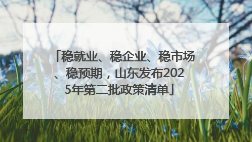 稳就业、稳企业、稳市场、稳预期，山东发布2025年第二批政策清单