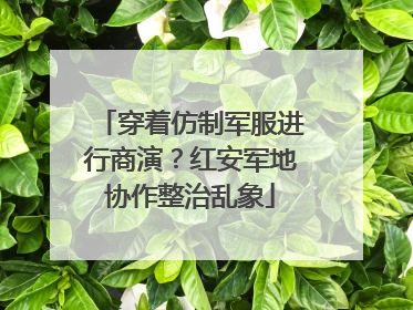 穿着仿制军服进行商演？红安军地协作整治乱象