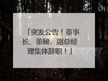 突发公告！董事长、董秘、副总经理集体辞职！