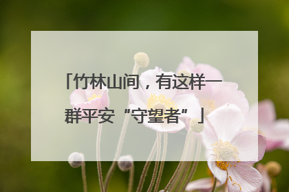 竹林山间，有这样一群平安“守望者”