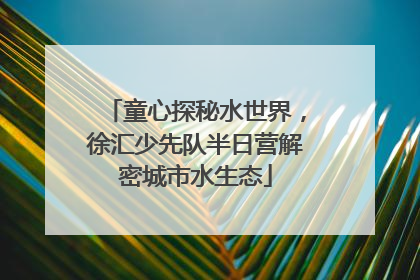 童心探秘水世界，徐汇少先队半日营解密城市水生态