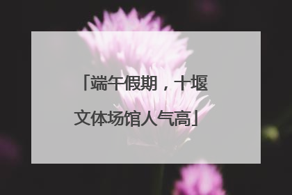 端午假期，十堰文体场馆人气高