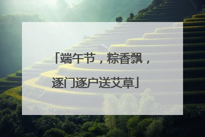 端午节，粽香飘，逐门逐户送艾草