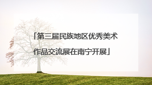 第三届民族地区优秀美术作品交流展在南宁开展