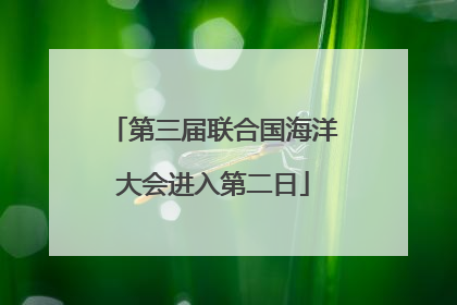 第三届联合国海洋大会进入第二日