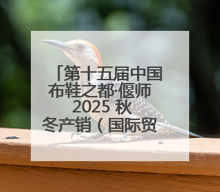 第十五届中国布鞋之都·偃师 2025 秋冬产销（国际贸易）对接会隆重开幕