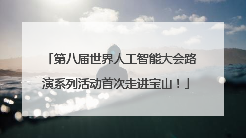 第八届世界人工智能大会路演系列活动首次走进宝山！