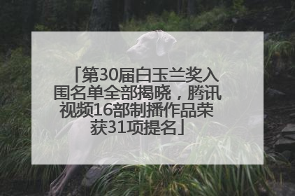 第30届白玉兰奖入围名单全部揭晓，腾讯视频16部制播作品荣获31项提名