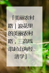 美丽农村路｜浪花里的美丽农村路，三高线串起山海经济学