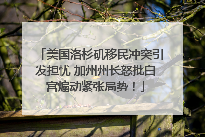 美国洛杉矶移民冲突引发担忧 加州州长怒批白宫煽动紧张局势！