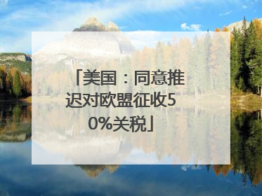 美国：同意推迟对欧盟征收50%关税