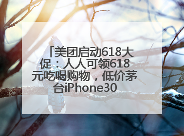 美团启动618大促：人人可领618元吃喝购物，低价茅台iPhone30分钟送达