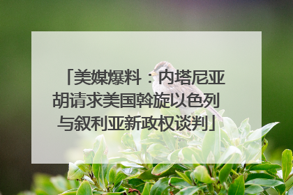 美媒爆料:内塔尼亚胡请求美国斡旋以色列与叙利亚新政权谈判