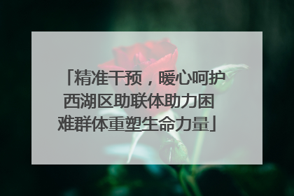 精准干预，暖心呵护 西湖区助联体助力困难群体重塑生命力量