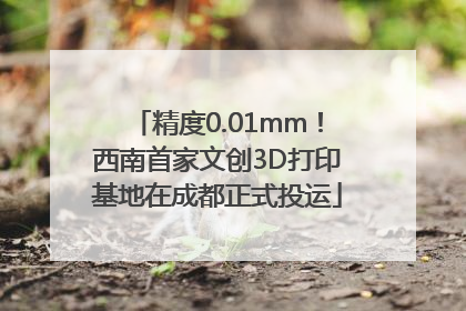 精度0.01mm！西南首家文创3D打印基地在成都正式投运