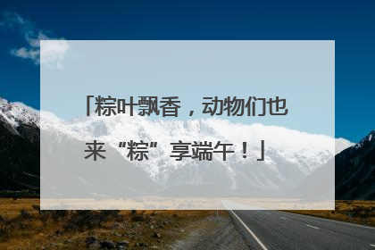 粽叶飘香，动物们也来“粽”享端午！