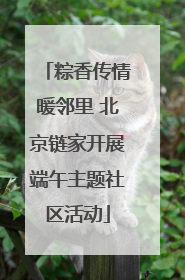 粽香传情暖邻里 北京链家开展端午主题社区活动