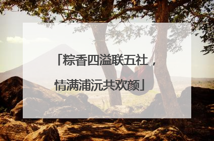 粽香四溢联五社，情满浦沅共欢颜