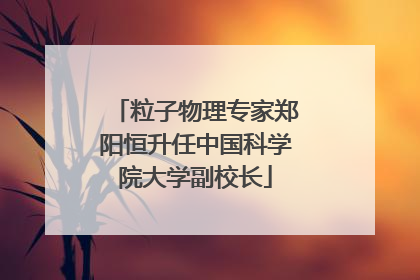 粒子物理专家郑阳恒升任中国科学院大学副校长