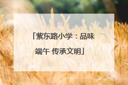 紫东路小学：品味端午 传承文明