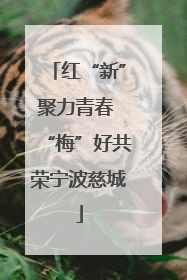 红“新”聚力青春 “梅”好共荣宁波慈城