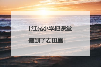 红光小学把课堂搬到了麦田里