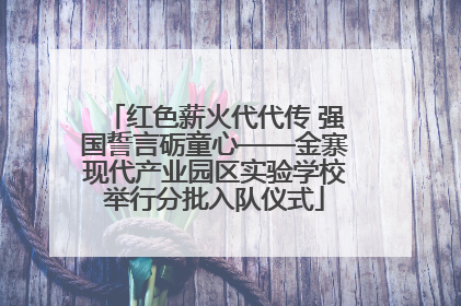 红色薪火代代传 强国誓言砺童心——金寨现代产业园区实验学校举行分批入队仪式