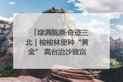 绿满陇原·奇迹三北｜梭梭林里种“黄金” 高台治沙致富很“从容”