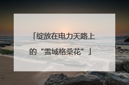 绽放在电力天路上的“雪域格桑花”