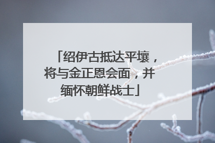 绍伊古抵达平壤，将与金正恩会面，并缅怀朝鲜战士