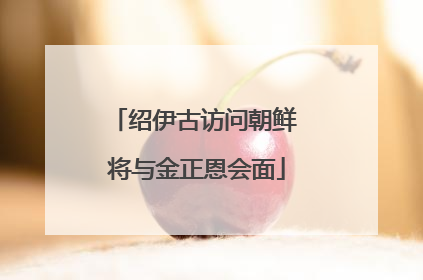 绍伊古访问朝鲜 将与金正恩会面