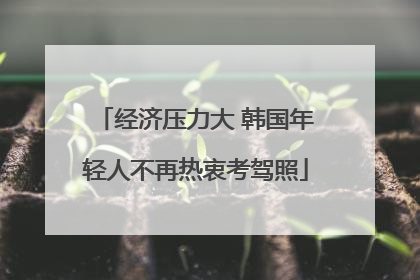 经济压力大 韩国年轻人不再热衷考驾照