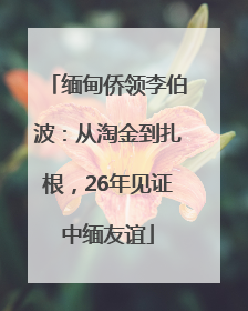 缅甸侨领李伯波：从淘金到扎根，26年见证中缅友谊