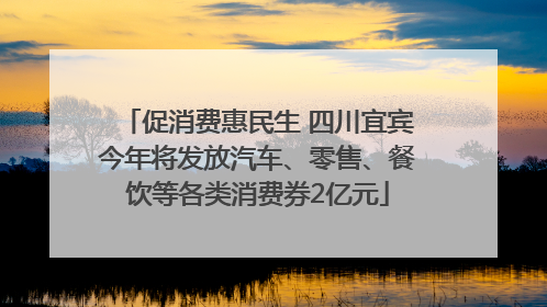 促消费惠民生 四川宜宾今年将发放汽车、零售、餐饮等各类消费券2亿元