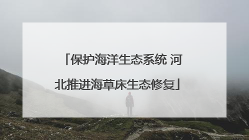 保护海洋生态系统 河北推进海草床生态修复