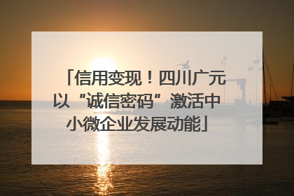 信用变现！四川广元以“诚信密码”激活中小微企业发展动能