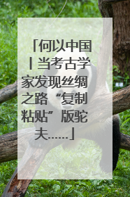 何以中国丨当考古学家发现丝绸之路“复制粘贴”版驼夫……