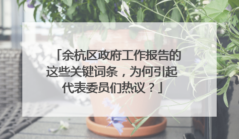 余杭区政府工作报告的这些关键词条，为何引起代表委员们热议？