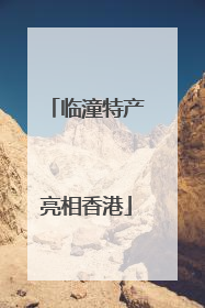 临潼特产亮相香港