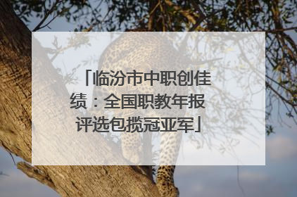 临汾市中职创佳绩：全国职教年报评选包揽冠亚军