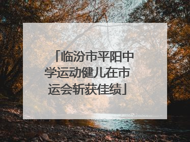 临汾市平阳中学运动健儿在市运会斩获佳绩