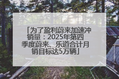 为了盈利蔚来加速冲销量：2025年第四季度蔚来、乐道合计月销目标达5万辆