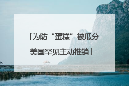 为防“蛋糕”被瓜分 美国罕见主动推销