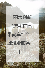 丽水创新“流动直播带岗车”全域就业服务