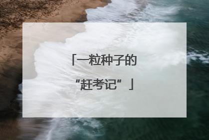 一粒种子的“赶考记”