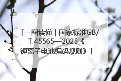 一图读懂｜国家标准GB/T 45565—2025《锂离子电池编码规则》