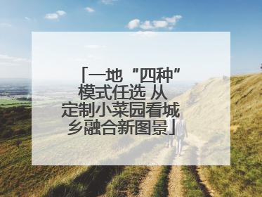 一地“四种” 模式任选 从定制小菜园看城乡融合新图景