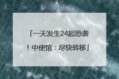 一天发生24起恐袭！中使馆：尽快转移