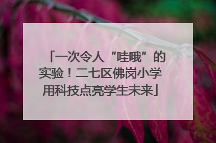 一次令人“哇哦”的实验！二七区佛岗小学用科技点亮学生未来
