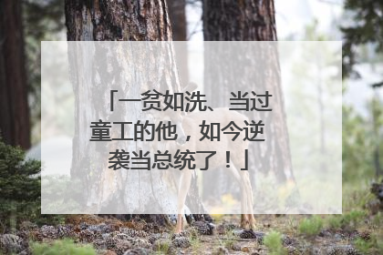 一贫如洗、当过童工的他，如今逆袭当总统了！